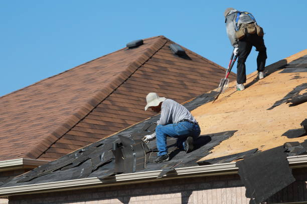 Sheet Metal Roofing in First Mesa, AZ